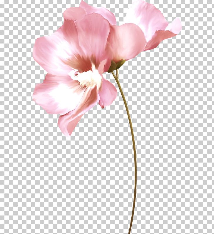 Watercolor Painting Art Drawing Photography PNG, Clipart, Blossom, Cut Flowers, Cyclamen, Decoupage, Fine Art Free PNG Download