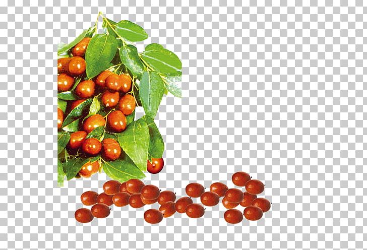 Cranberry Jujube Date Palm PNG, Clipart, Berry, Cherry, Cranberry, Date, Date Fruit Free PNG Download