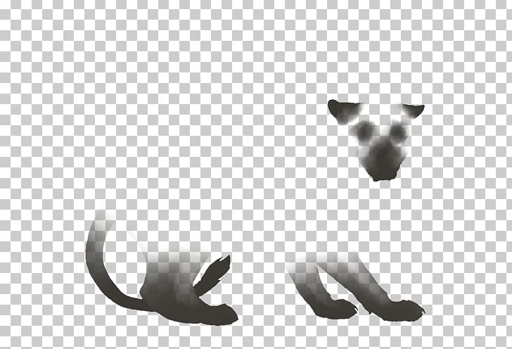 Dog Cat Snout PNG, Clipart, Animals, Black And White, Canidae, Carnivoran, Cat Free PNG Download