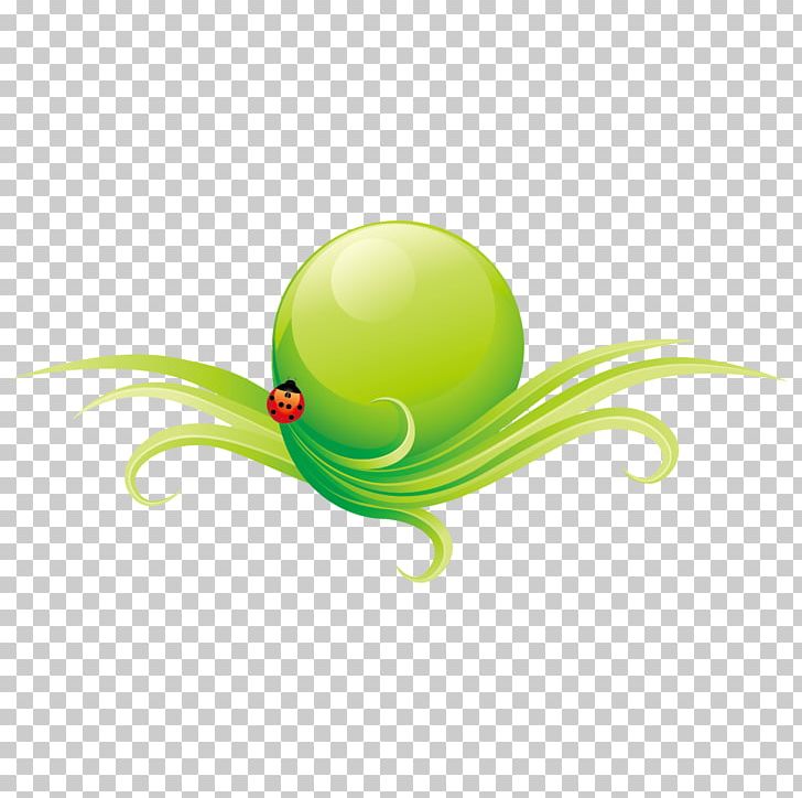 Insect PNG, Clipart, Adobe Illustrator, Animals, Background Green, Circle, Coccinella Septempunctata Free PNG Download