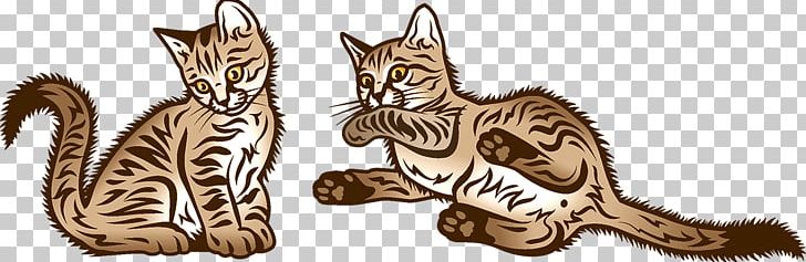 Kitten Tabby Cat Wildcat Whiskers PNG, Clipart, Animal, Animal Figure, Animals, Apple, Carnivoran Free PNG Download