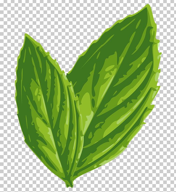 Mint Julep Peppermint PNG, Clipart, Basil, Blog, Cabbage, Collard Greens, Computer Icons Free PNG Download