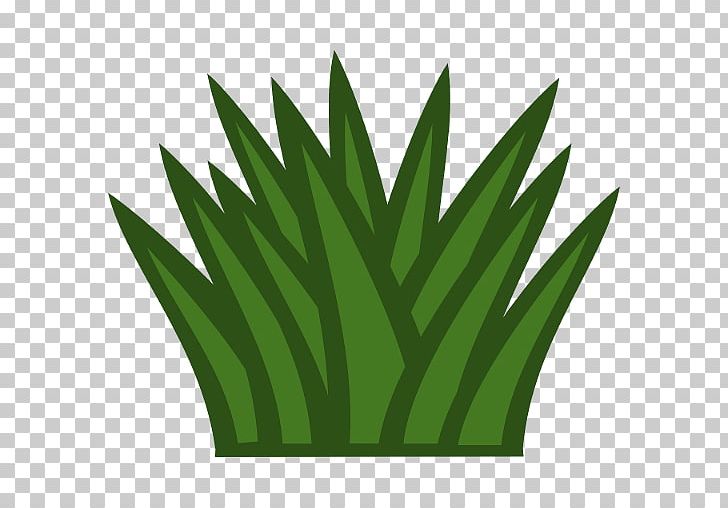 Shrub PNG, Clipart, Android Pc, Apk, App, Document, Download Free PNG Download