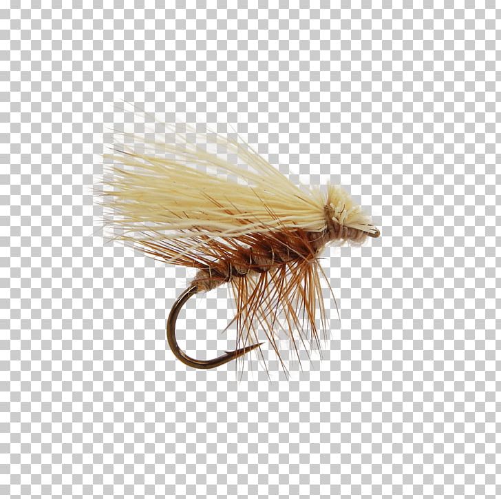 Artificial Fly Elk Hair Caddis Fly Fishing Caddisfly PNG, Clipart, Angling, Artificial Fly, Body, Brush, Caddisfly Free PNG Download