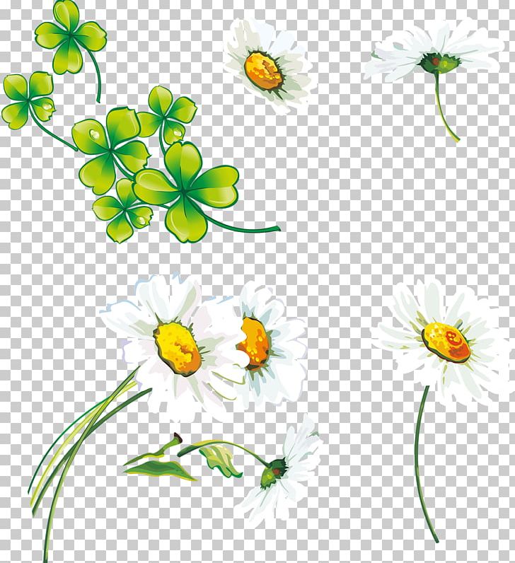 Clover Designer PNG, Clipart, Border, Branch, Cartoon, Creat, Flower Free PNG Download