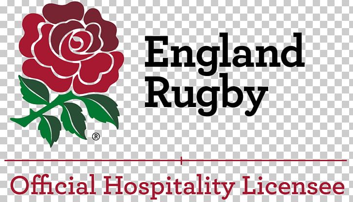 England National Rugby Union Team Super Rugby London Welsh RFC PNG, Clipart,  Free PNG Download