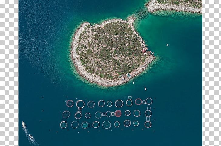 Fish Farming Aerial Photography Photographer PNG, Clipart, Aerial Photography, Agriculture, Aqua, Architecture, Artificial Island Free PNG Download