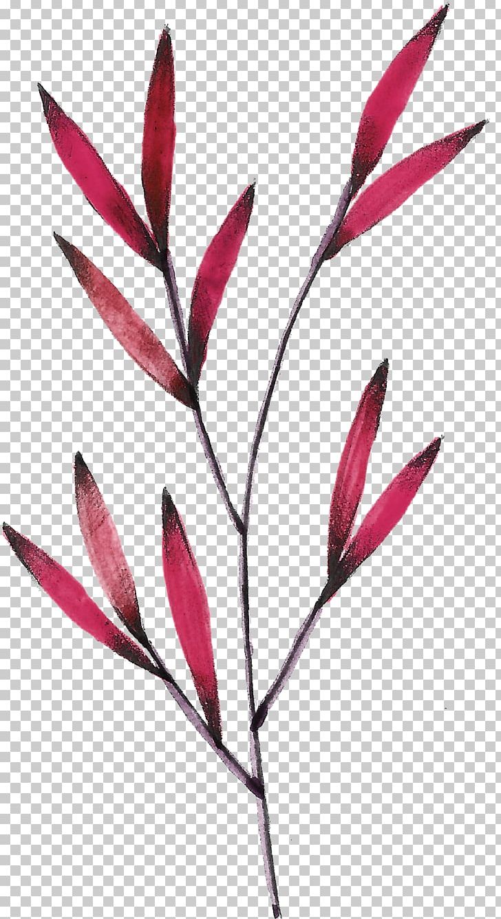 Leaf Red PNG, Clipart, Autumn Leaves, Branch, Download, Fall Leaves, Flower Free PNG Download