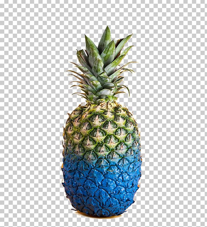 Anjuna Ice Pop Pineapple Brand Advertising PNG, Clipart, Ananas, Anjuna, Brand, Brand Design, Corporate Identity Free PNG Download