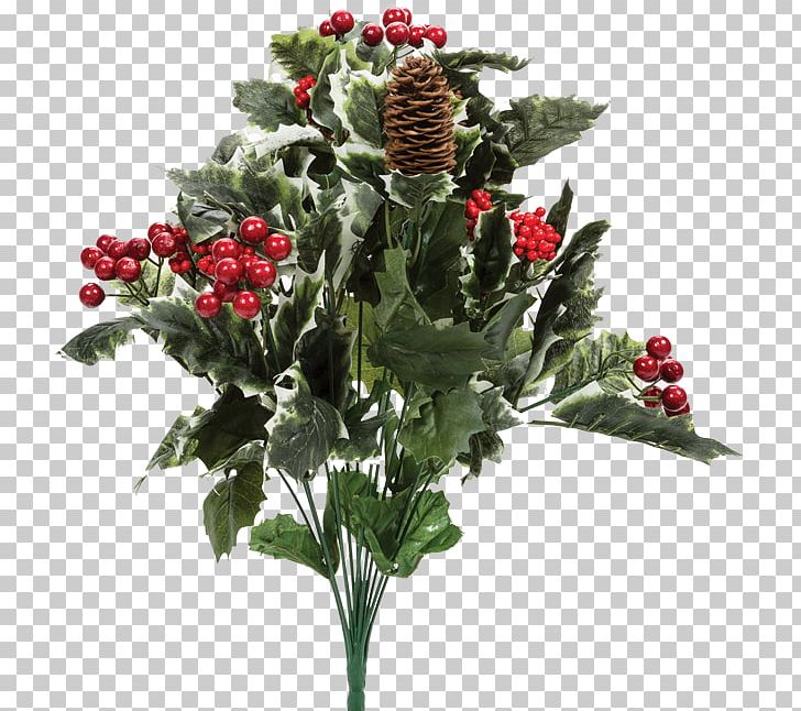 Berry Shrub American Holly Common Holly Tree PNG, Clipart, American Holly, Berry, Common Holly, Conifer Cone, Cut Flowers Free PNG Download