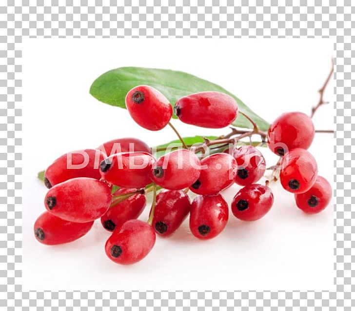 Common Barberry Dried Fruit Berberis Thunbergii Goji PNG, Clipart, Barberry, Ber, Blueberry, Common Barberry, Currant Free PNG Download