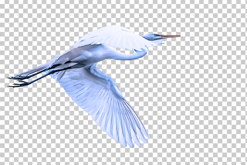 Feather PNG, Clipart, Beak, Bird, Feather, Great Egret, Heron Free PNG Download