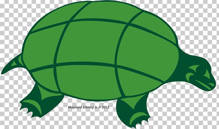 Tortoise Sea Turtle Gray Wolf Green PNG, Clipart, Animals, Black, Black And White, Classroom, Color Free PNG Download