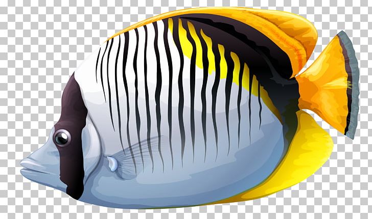 Tropical Fish PNG, Clipart, Animals, Butterflyfish, Cap, Clip Art, Deep Sea Fish Free PNG Download