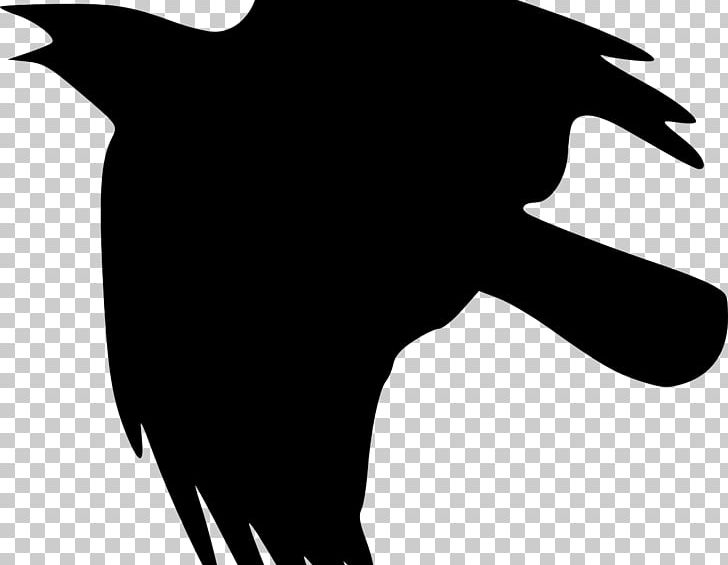 Crow PNG, Clipart, Artwork, Beak, Bird, Black, Black And White Free PNG Download