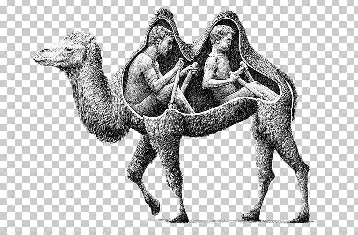 Drawing Artist Surrealism Illustration PNG, Clipart, Animals, Camel Vector, Creative Background, Creative Logo Design, Decorative Free PNG Download