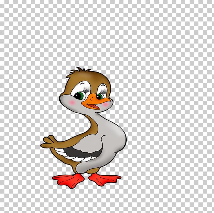Duck Drawing PNG, Clipart, Animal Figure, Beak, Bird, Cartoon, Chicken Free PNG Download