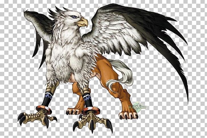 Legendary Creature Griffin Mythology Phoenix PNG, Clipart, Beak, Bird, Bird Of Prey, Cerberus, Claw Free PNG Download