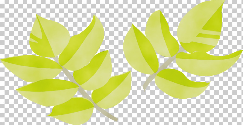 Leaf Green Plant Yellow Flower PNG, Clipart, Flower, Green, Leaf, Paint, Plant Free PNG Download
