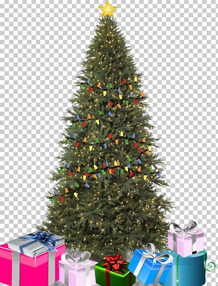 Christmas Tree Birthday Christmas Ornament Balsam Hill PNG, Clipart, Anniversary, Balsam Hill, Birthday, Christmas, Christmas Decoration Free PNG Download