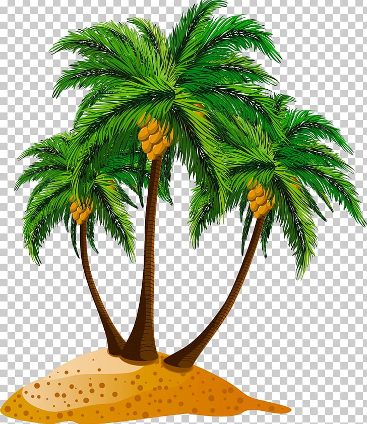 Portable Network Graphics Beach JPEG PNG, Clipart, Arecales, Beach, Borassus Flabellifer, Coconut, Date Palm Free PNG Download