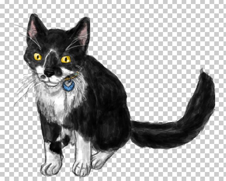Whiskers American Wirehair Kitten Domestic Short-haired Cat Black Cat PNG, Clipart, American Wirehair, Animal, Animals, Black Cat, Carnivoran Free PNG Download
