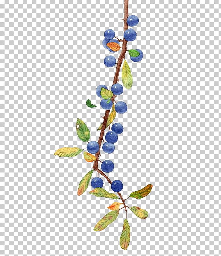 Blueberry Fruit PNG, Clipart, Autumn, Bilberry, Branch, Cartoon, Download Free PNG Download