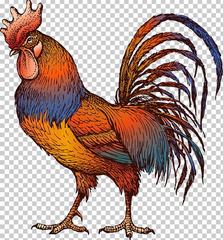 Chicken Rooster PNG, Clipart, Animals, Animation, Beak, Bird, Chicken Free PNG Download