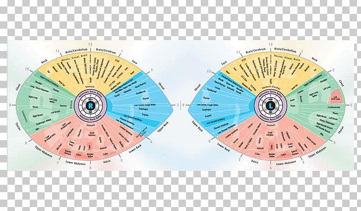 Iridology Iris Sclera Eye Reflexology PNG, Clipart, Alternative Health Services, Chart, Circle, Eye, Eye Chart Free PNG Download