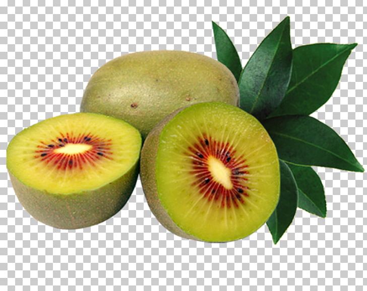 Kiwifruit Auglis PNG, Clipart, Apple Fruit, Auglis, Download, Festival, Food Free PNG Download