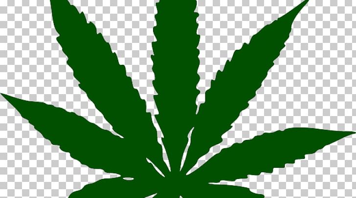 Cannabis Sativa Medical Cannabis PNG, Clipart, Cannabis, Cannabis Sativa, Cannabis Smoking, Computer Icons, Drawing Free PNG Download