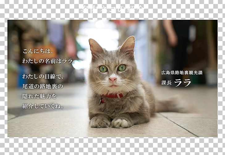 Cat 猫の細道 Tourism Map Google Street View PNG, Clipart, Animals, Carnivoran, Cat, Cat Like Mammal, Domestic Short Haired Cat Free PNG Download