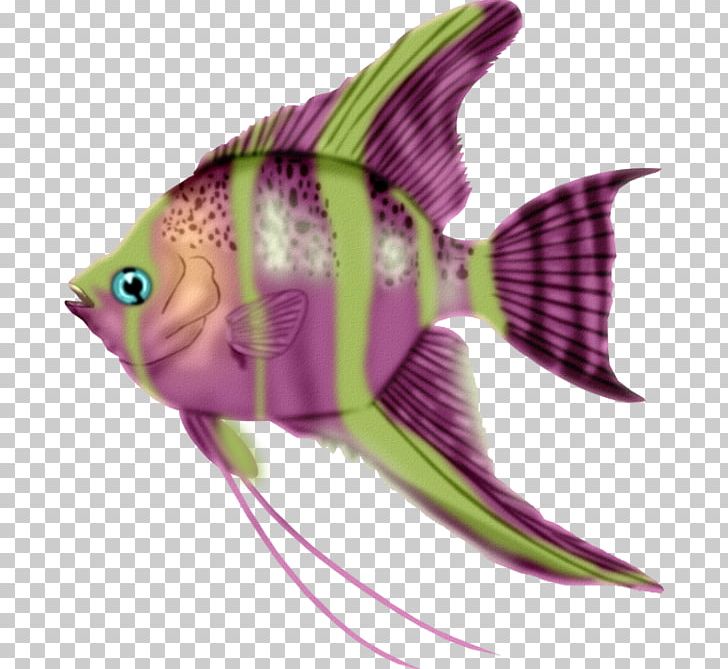 Fish PNG, Clipart, Animals, Cartoon, Clip Art, Color, Colorful Free PNG Download
