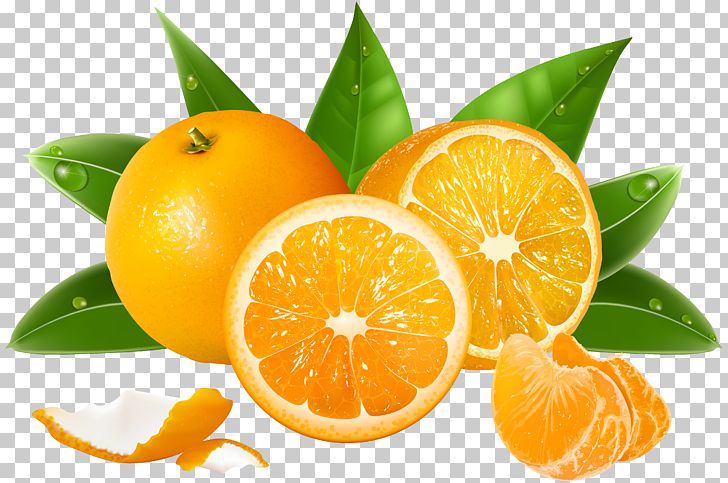 Juice Lemon Grapefruit Orange PNG, Clipart, Auglis, Berry, Bitter Orange, Chenpi, Citric Acid Free PNG Download