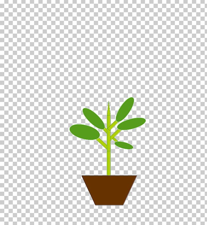 Leaf Flowerpot Plant Stem PNG, Clipart, Flower, Flowerpot, Grass, Leaf, Line Free PNG Download