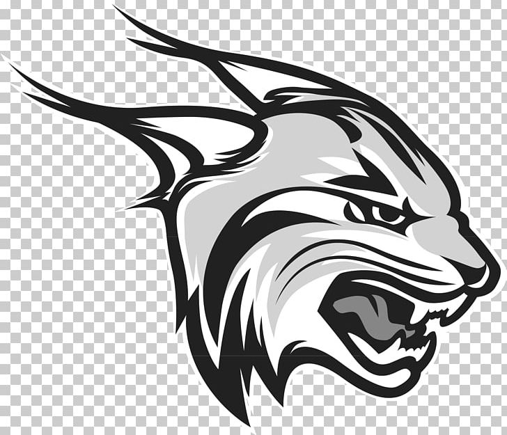 Rhodes College Mac Murray College Millikin University The University Of The South Rhodes Lynx Football PNG, Clipart, Animals, Big Cats, Carnivoran, Cat Like Mammal, Coach Free PNG Download