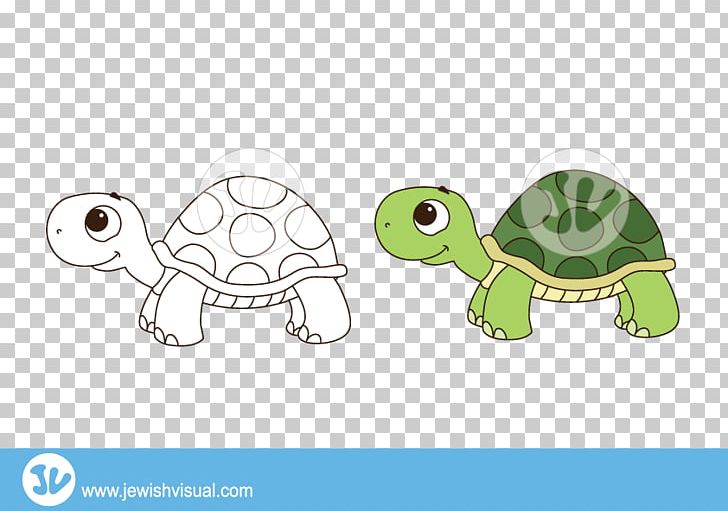 Tortoise Turtle PNG, Clipart, Animals, Cartoon, Download, Email, Fauna Free PNG Download