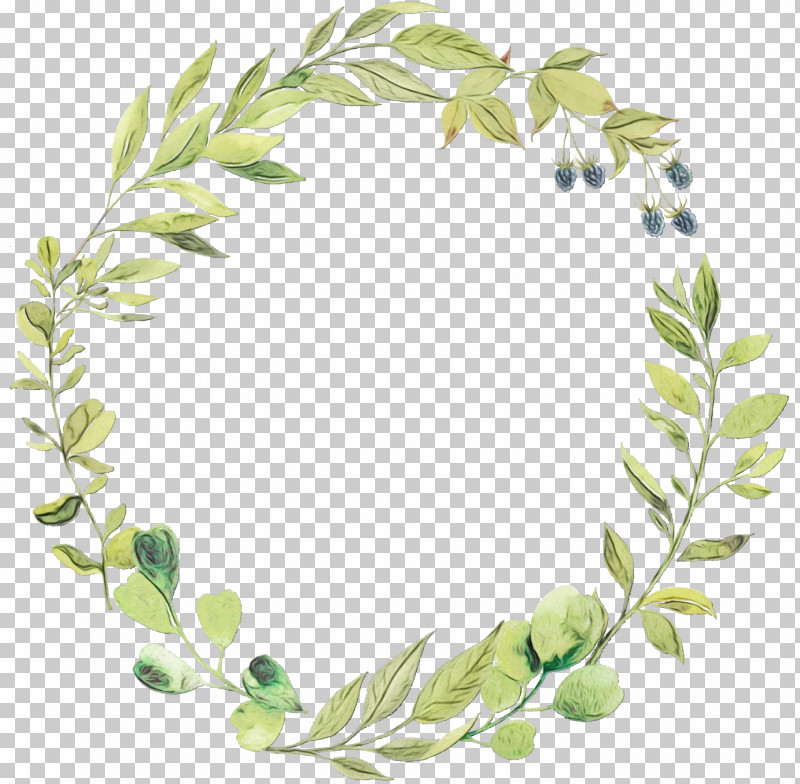 Leaf Plant Stem Twig Flower Tree PNG, Clipart, Biology, Flower, Leaf, Paint, Plants Free PNG Download