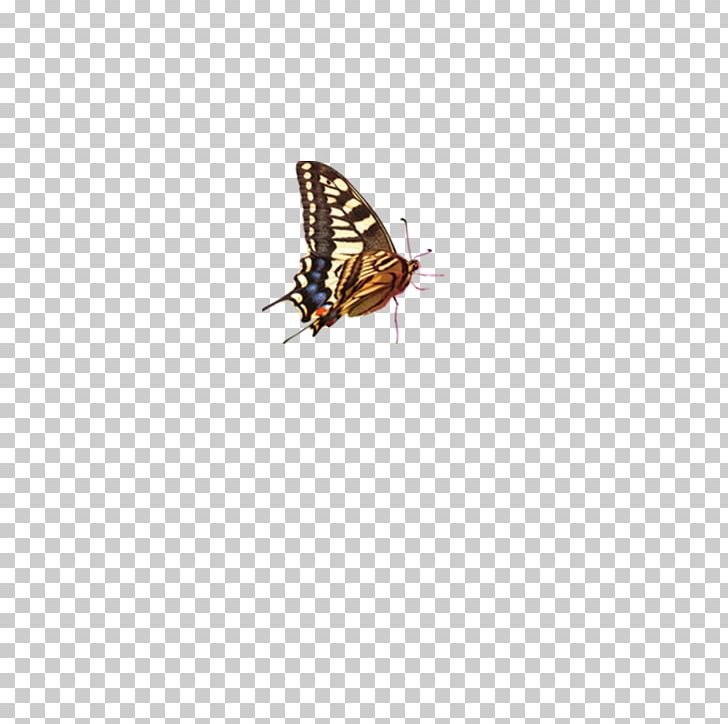 Car Screen Protector Enhancer Color Pattern PNG, Clipart, Blue Butterfly, Brown, Butterflies, Butterfly, Butterfly Group Free PNG Download