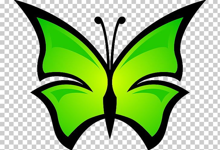 Desktop Drawing PNG, Clipart, Artwork, Brush Footed Butterfly, Butterfly, Color, Computer Icons Free PNG Download