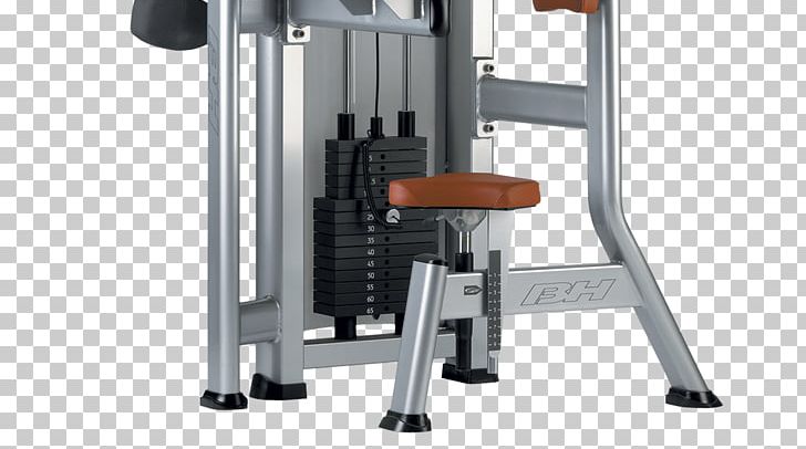 Fitness Centre Exercise Machine Exercise Equipment Triceps Brachii Muscle Weight Plate PNG, Clipart, Exercise Equipment, Fitness Centre, Gym, Hor, Internet Free PNG Download