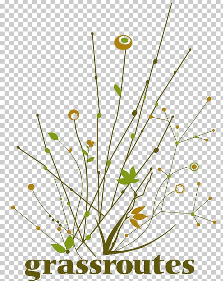 Grassroutes Purushwadi Dehene Wanjulshet Camera And Shorts Western Ghats PNG, Clipart, Branch, Cut Flowers, Fireflies, Flora, Flower Free PNG Download