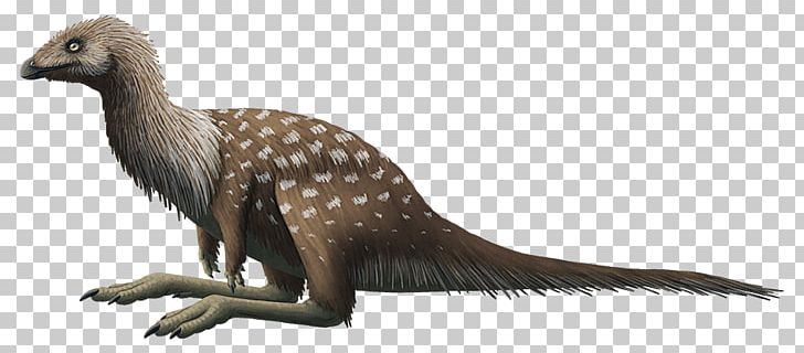 Ornithomimosauria Limusaurus Ceratosaurus Ceratosauria Dinosaur PNG, Clipart, Animal Figure, Carnivoran, Ceratosauria, Ceratosaurus, Dinosaur Free PNG Download