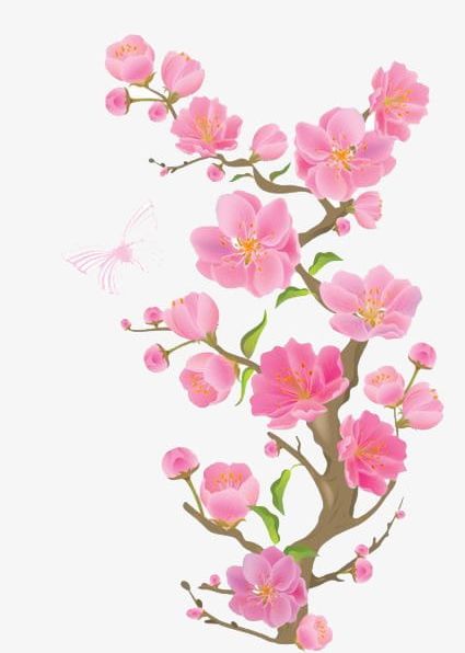 Pink Peach PNG, Clipart, Blossom, Flower, Flowers, Peach, Peach Blossom Free PNG Download