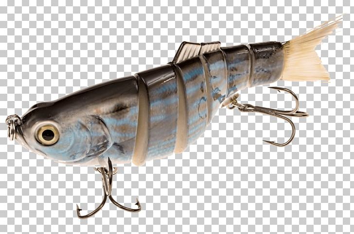 Sardine Spoon Lure Oily Fish Mackerel Perch PNG, Clipart, Ac Power Plugs And Sockets, Bait, Bass, Fish, Fishing Bait Free PNG Download