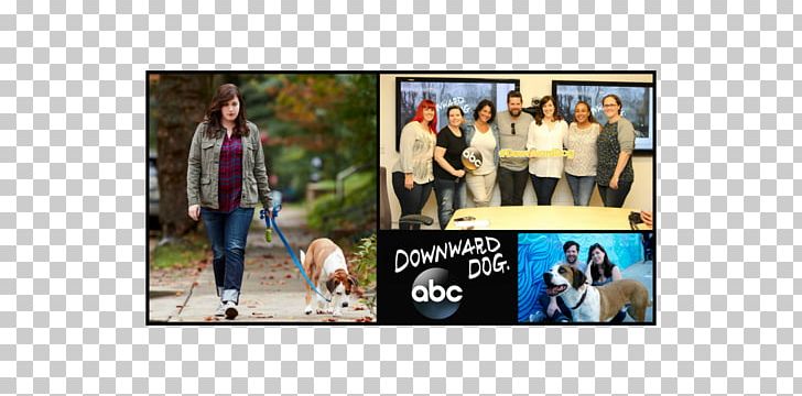 Display Advertising Video Frames PNG, Clipart, Advertising, Banner, Collage, Display Advertising, Hogesand Free PNG Download