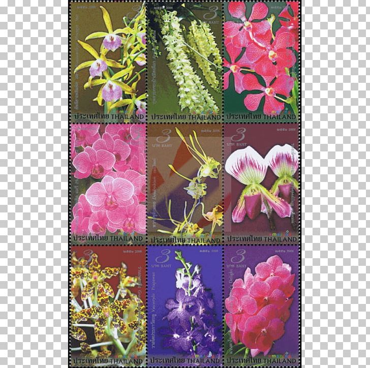 Thailand Postage Stamps First Day Of Issue Orchids Mail PNG, Clipart, Annual Plant, Collage, First Day Of Issue, Flora, Flora Free PNG Download