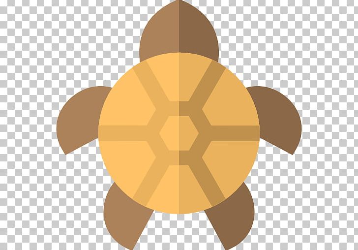 Tortoise PNG, Clipart, Art, Circle, Food, Tortoide, Tortoise Free PNG Download