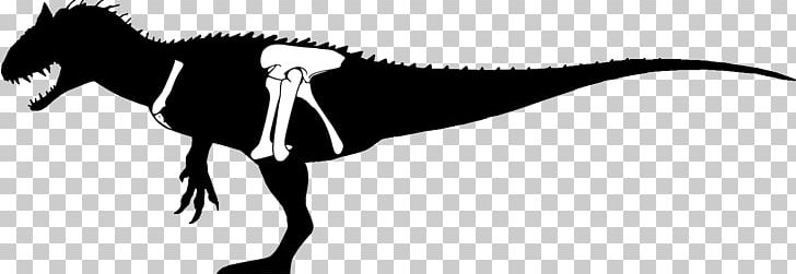 Tyrannosaurus Indominus Rex Silhouette Dinosaur PNG, Clipart, Animals, Beak, Black, Black And White, Bone Free PNG Download