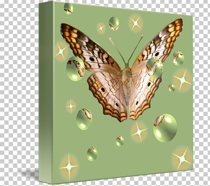 Brush-footed Butterflies Moth Butterfly PNG, Clipart, Arthropod, Brush Footed Butterfly, Butterfly, Fauna, Insect Free PNG Download